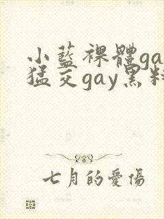 小蓝裸体gay猛交gay黑料网