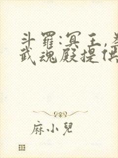 斗罗:冥王,为武魂殿提供神级武魂封面