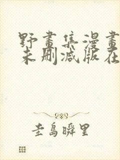 野画集漫画免费未删减版在线阅读封面