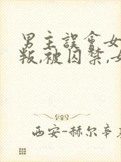 男主误会女主背叛,被囚禁,女主很爱男