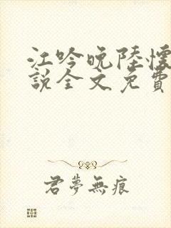 江吟晚陆怀璟小说全文免费阅读