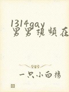 1314gay男男视频在线观看