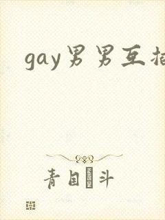 gay男男互插