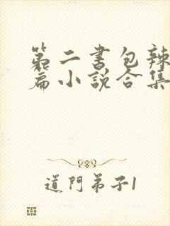 第二书包辣网短篇小说合集