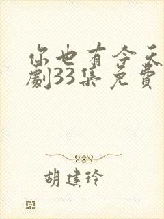 你也有今天电视剧33集免费观看