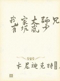 我家大师兄脑子有坑岚少