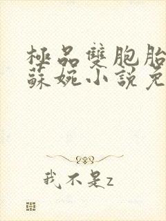 极品双胞胎老婆苏婉小说免费阅读