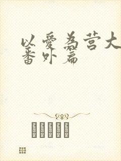 以爱为营大结局番外篇