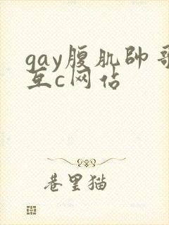 gay腹肌帅哥互c网站封面