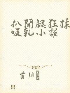 扒开腿狂揉大胸吸乳小说