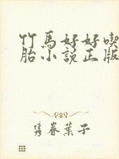 竹马好好吃双胞胎小说正版阅读