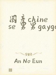 国产chinese 男男gaygay网站封面