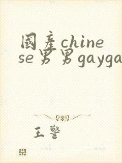 国产chinese男男gaygay 网站