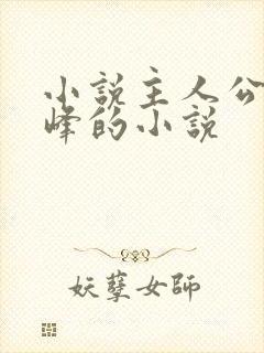 小说主人公叫林峰的小说