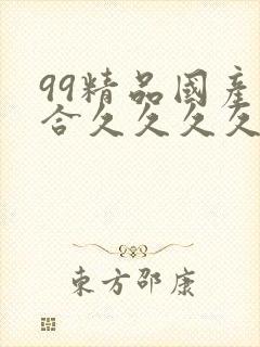 99精品国产综合久久久久久