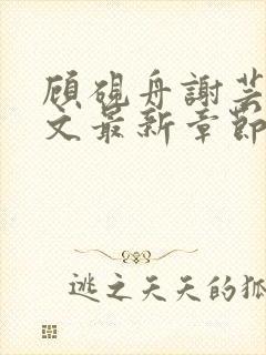 顾砚舟谢芸琛全文最新章节免费阅读封面