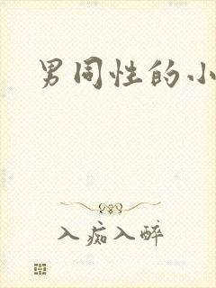 男同性的小说