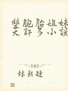 双胞胎姐妹乐翻天许多小说说免费阅读封面