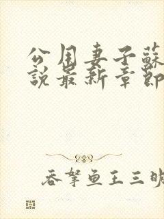 公用妻子苏晴小说最新章节更新时间