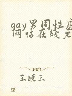 gay男同性恋网站在线免费观看封面