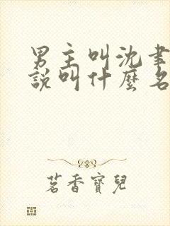 男主叫沈聿的小说叫什么名字