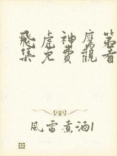 飞虎神鹰第42集免费观看封面