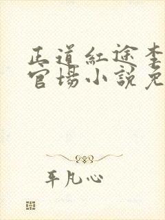 正道红途李初年官场小说免费阅读