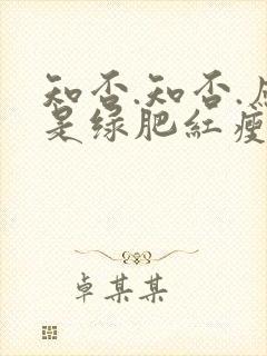 知否.知否.应是绿肥红瘦原著封面