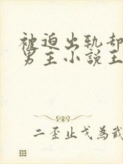 被迫出轨却上瘾男主小说王琴