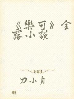《乐可》金银花露小说封面