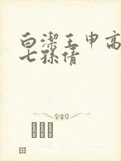 白洁王申高义老七孙倩封面