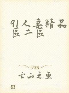 91人妻精品一区二区