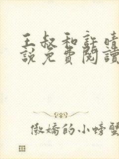 王叔和许晴的小说免费阅读无弹窗