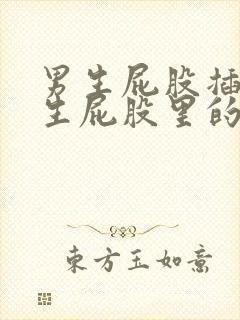 男生屁股插进女生屁股里的视频