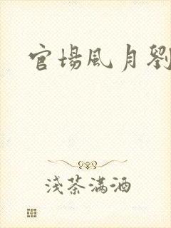 官场风月刘明强