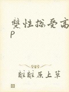 双性总受高hnp封面