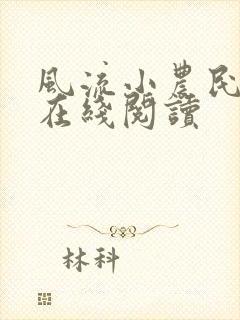 风流小农民全文在线阅读封面