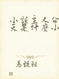 小说主人公杨小天是什么小说封面