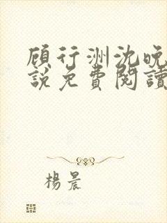 顾行洲沈晚宁小说免费阅读最新章节