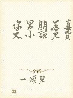 你男朋友真大全文小说免费阅读无弹窗笔趣阁