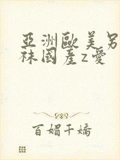 亚洲欧美另类丝袜国产z爱