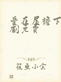 爱在屋檐下电视剧免费