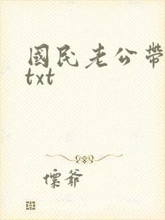 国民老公带回家txt