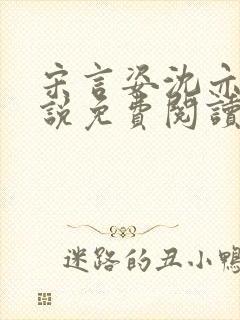 宋言姿沈亦驰小说免费阅读笔趣阁