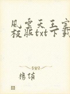 风云天王完本精校版txt下载