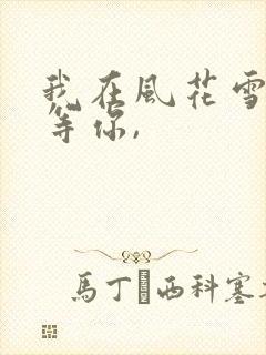我在风花雪月里等你,