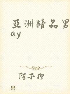 亚洲精品男同gay