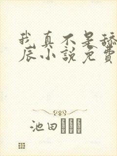 我真不是舔狗叶辰小说免费阅读