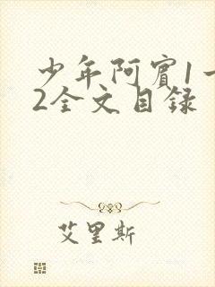 少年阿宾1一72全文目录