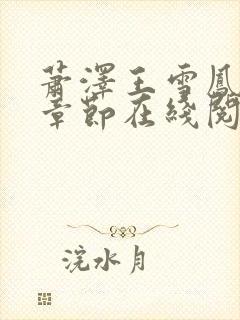 萧泽王雪凤全部章节在线阅读小说封面